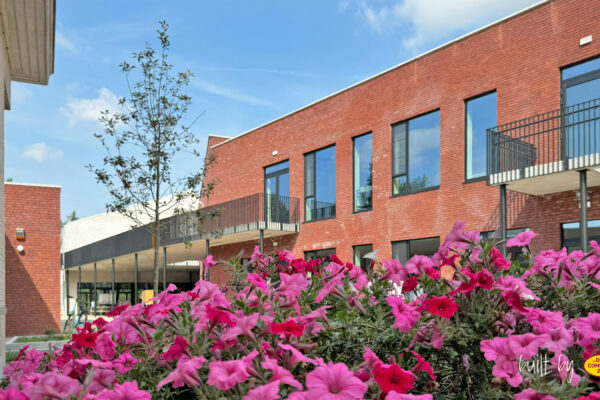 Basisschool de Windwijzer